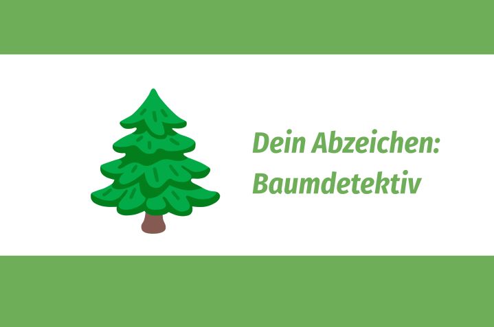 3-baumdetektiv-18