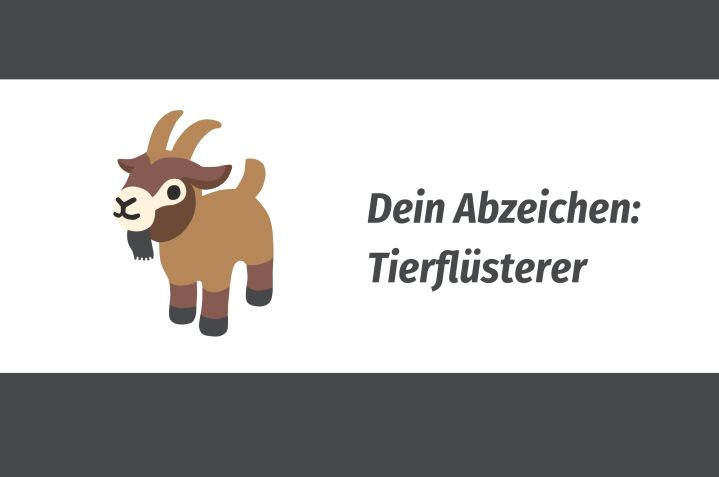 6-tierfluesterer-6