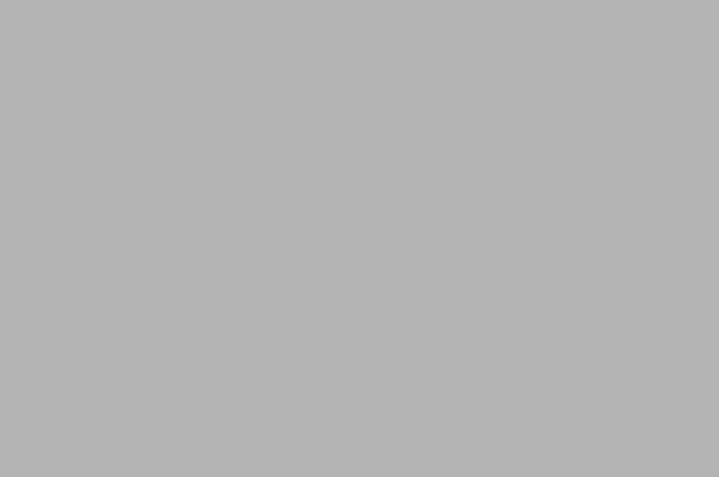 grau-42